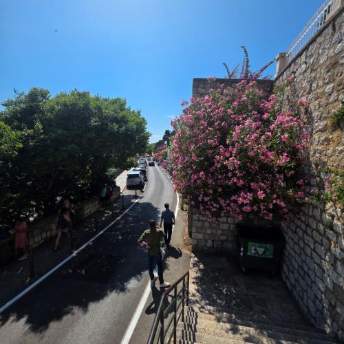 Dubrovnik rockfall location