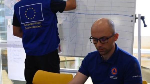 DOMINO_article profile