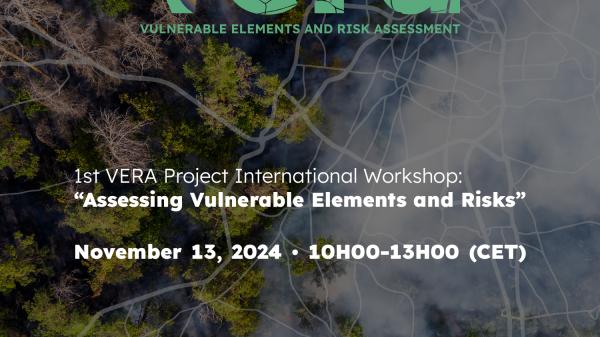1st VERA Project International Workshop