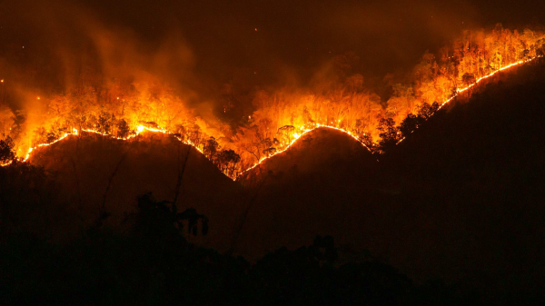 Methodologies and tools for establishing an Early Warning System for forest fires